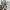 Adidas Streetwear Sportswear Sneakers Pria multicolor photo 3