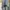 Levi's Vintage Streetwear Sweater Pria Gray