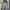 Spalding Sportswear Casual Track jacket Pria gray photo 1