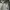Spalding Sportswear Casual Track jacket Pria gray photo 2