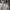 Spalding Sportswear Casual Track Jacket Pria Gray