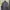 VANS Sportswear Casual Track jacket Pria gray photo 2