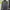 VANS Sportswear Casual Track jacket Pria gray photo 1