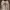 Cosplay Casual Sweater Pria white photo 1