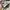 New Balance Sportswear Sneakers Wanita gray photo 3
