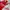 Adidas Sportswear T-shirt Pria red photo 3