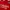 Adidas Sportswear T-shirt Pria red photo 2