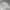 Y2K Minimalist Puffer jacket Pria white photo 2