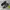 Asics Streetwear Sportswear Sneakers Pria black photo 1