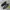 Asics Streetwear Sportswear Sneakers Pria Black