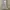 Zadig & Voltaire Streetwear Cottagecore Midi Dress Wanita Multicolor
