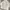 Disney Vintage Luxury Wanita white photo 1