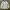 Nike Streetwear Casual Sweatshirt Wanita white tan photo 1