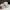 Adidas Streetwear Sportswear Sneakers Pria white black photo 8