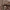 Levi's Casual Casual shirt Pria multicolor photo 3