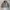 Casual Harrington jacket Pria tan photo 1