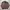 Daniel Hechter Casual Harrington jacket Pria brown photo 2