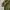 Casual Harrington jacket Pria multicolor photo 4