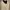 Vintage Sportswear Polo Shirt Pria White Black