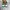 Adidas Casual Sneakers Pria green photo 4