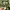 The North Face Sportswear Hoody Pria green photo 6