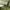 The North Face Sportswear Hoody Pria green photo 4