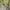 The North Face Sportswear Hoody Pria green photo 5