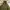 The North Face Sportswear Hoody Pria green photo 2