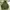 The North Face Sportswear Hoody Pria green photo 1