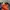 Hermes Luxury Handbag Wanita orange photo 2