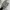 Puma Streetwear Sneakers Pria white black photo 5