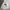 Uniqlo Streetwear Hoody Pria white photo 1