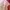 Luxury Wanita pink photo 4