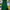 Luxury Evening Dress Wanita Green
