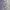 Sportswear Polo shirt Pria purple white photo 5