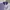 Sportswear Polo shirt Pria purple white photo 3