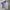 Sportswear Polo shirt Pria purple white photo 1