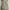 Streetwear Coquette Summer dress Wanita cream photo 5