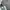 Polo Ralph Lauren Luxury Trench coat Pria gray photo 3