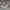 Converse Streetwear Skater Sneakers Pria silver tan photo 3