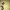 Polo Ralph Lauren Casual Polo shirt Pria yellow photo 3