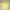 Polo Ralph Lauren Casual Polo Shirt Pria Yellow
