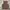 Streetwear Sportswear Crop top Wanita brown photo 2