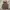 Streetwear Sportswear Crop top Wanita brown photo 1