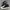 Converse Streetwear Indie Sneakers Wanita white black photo 3