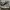 Nike Streetwear Sneakers Pria white gray photo 1