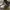 Nike Streetwear Sneakers Pria white gray photo 2