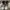 Nike Streetwear Sneakers Pria white gray photo 3