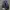 Converse Streetwear Reworked Sneakers Pria navy gray photo 8