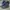 Converse Streetwear Reworked Sneakers Pria navy gray photo 4